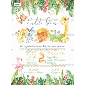 prosklhthrio-baby-zwakia-zougklas-ts262-tsantakides