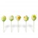 Cake Pops Λαχανί Διάφορα