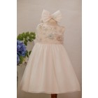 vaptistiko-forema-2515316f-la-joie