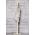 paketo-vaptisis-koritsi-baby-bloom-k24-03