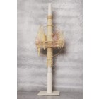 paketo-vaptisis-koritsi-baby-bloom-k24-06