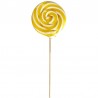 gleifitzouri-spiral-90gr